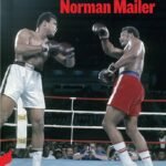 El combate